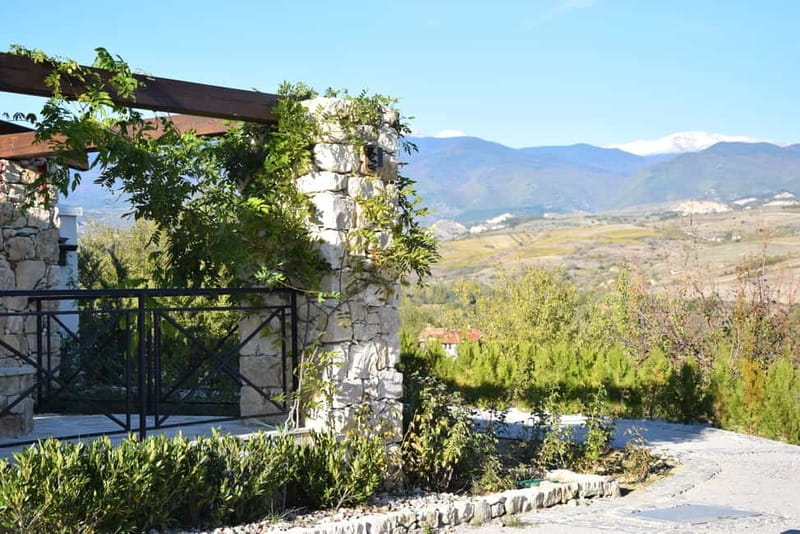Melnik Wine Tour - Price and value: why $187 can make sense for a 9-hour day