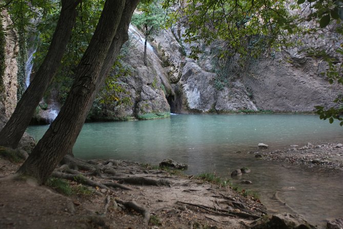 Monasteries and Waterfalls Tour from Veliko Tarnovo - What you learn on the way: flora, fauna, and site context