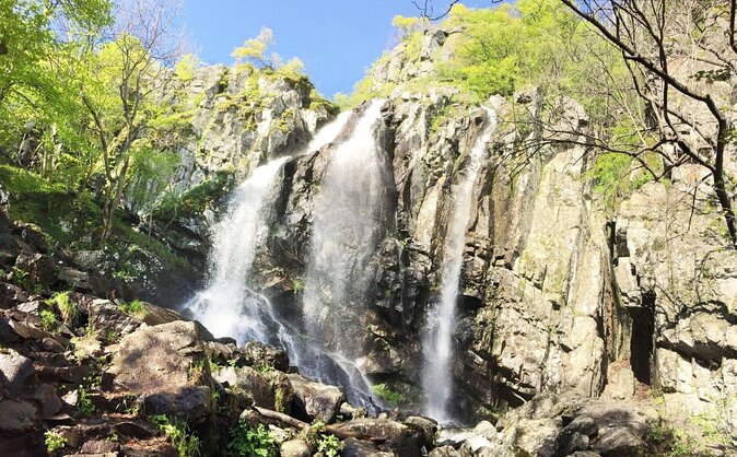 Mt. Vitosha and Boyana Waterfall Hiking Tour from Sofia - Mt. Vitosha hiking time, what you’ll actually do for 7 hours