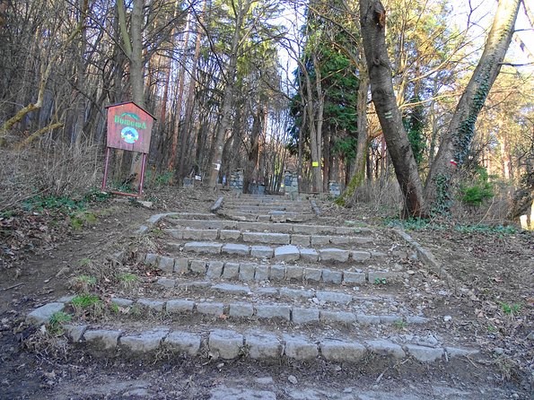 Mt. Vitosha and Boyana Waterfall Hiking Tour from Sofia - Summit views over Sofia, plus the weather surprises to expect