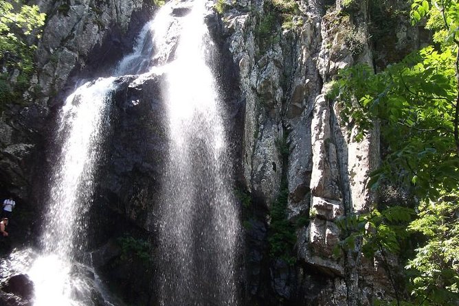 Mt. Vitosha and Boyana Waterfall Hiking Tour from Sofia - Lunch break, what you pay for, and how to avoid a low-energy crash