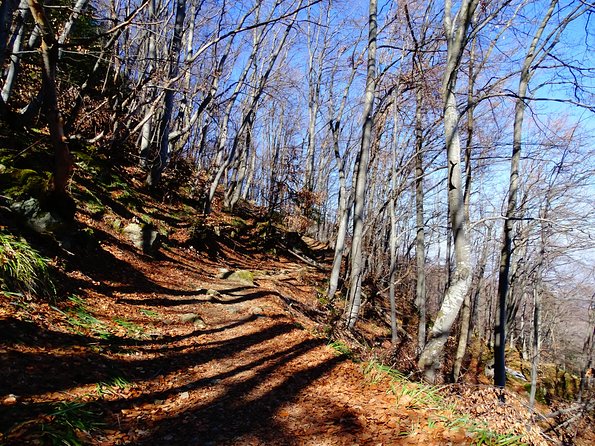 Mt. Vitosha and Boyana Waterfall Hiking Tour from Sofia - What to bring so the hike feels good, not punishing