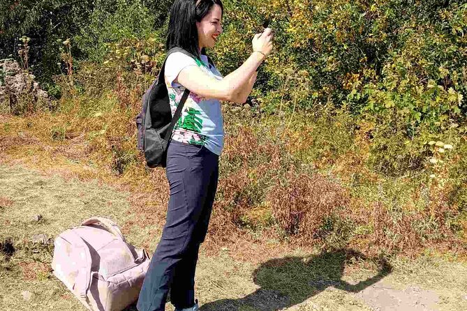Mt. Vitosha and Boyana Waterfall Hiking Tour from Sofia - Sofia pickup, start time, and how to plan your morning