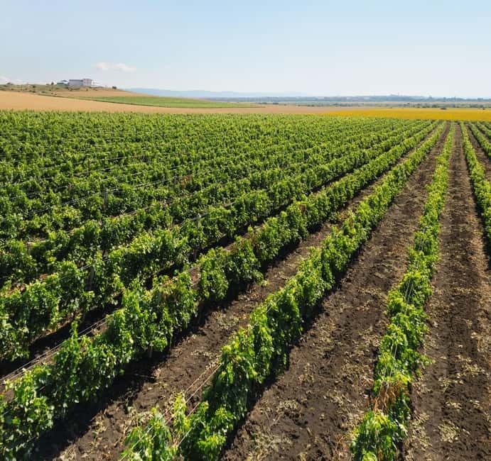 Nessebar: Guided Tour in English with Wine Tasting - Price and value: is $50 worth it?