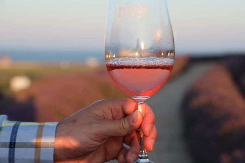 Nessebar: Guided Tour in English with Wine Tasting - Pickup and transport: plan for a flexible start time