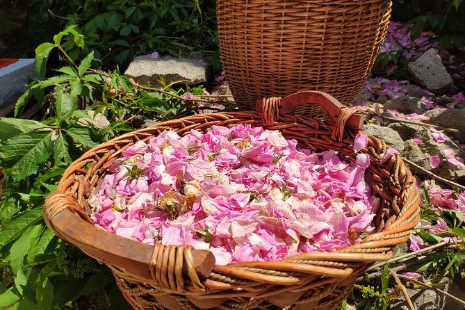 Picking Roses Workshop & Extracting Rose Oil in the Rose Valley - Damascena Ethnographic Complex near Kazanlak: traditions you can see close up
