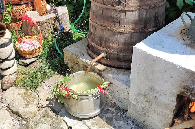Picking Roses Workshop & Extracting Rose Oil in the Rose Valley - Kazanlak and the Kazanlak Rose: why this flower matters