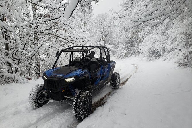 Private 1-Hour Quad or Buggy Safari in Borovets - Quad or Buggy in Borovets, Why This Hour Works