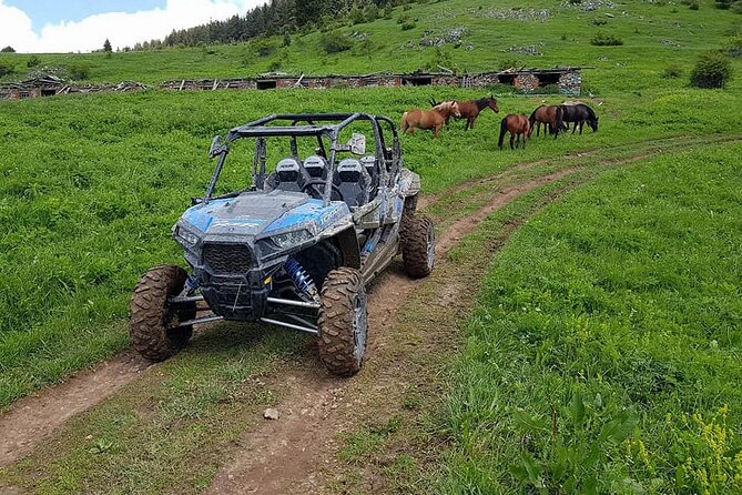 Private 1-Hour Quad or Buggy Safari in Borovets - Borovets Ski Resort Zone: Fast-Track Mountain Atmosphere