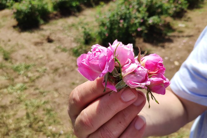 Private Access Rose Festival Kazanlak 05-07.06.2025 - Key things to know before you go