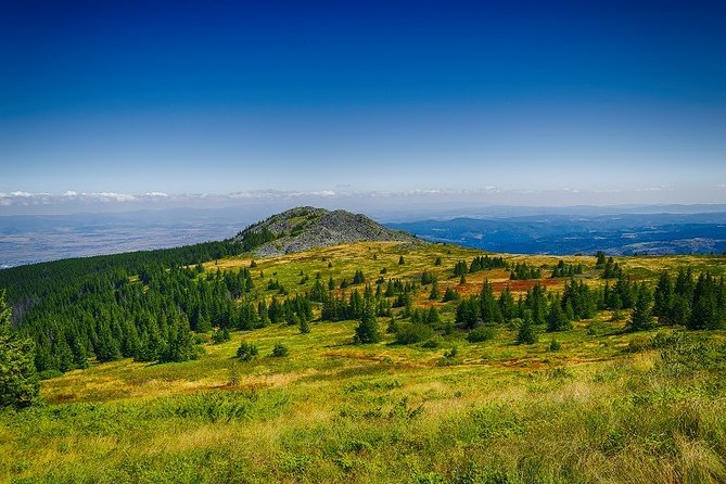 Private Day Trip to the Vitosha Mountain and Pancharevo Lake - Price and value: what $174.42 includes, and what you pay yourself