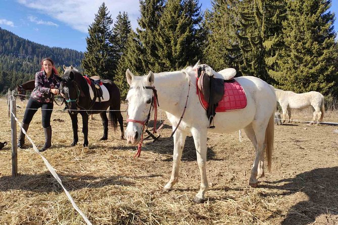 Private Horse Riding in the Balkan from Sofia - What to expect from the full flow of the day