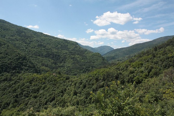 Private Jeep Safari in the Rila Mountains - Your Driver and the Private Experience: What Actually Makes It Feel Worth It