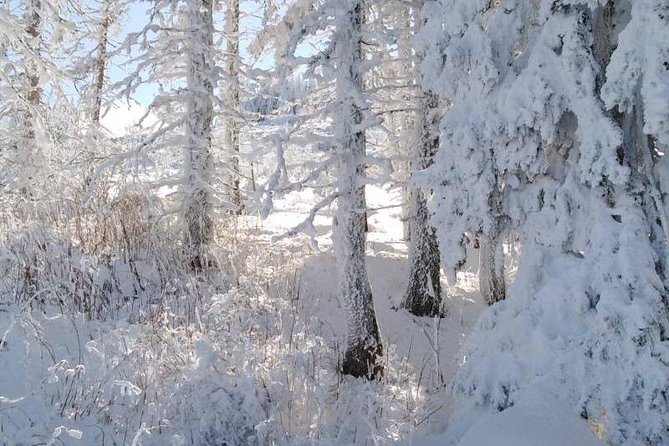Private Vitosha Mountains Hiking with Black peak & Dragalevtsi Monastery - Price and what you get for about $34.88
