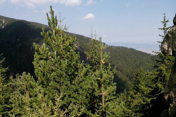 Private Vitosha Mountains Hiking with Black peak & Dragalevtsi Monastery - Pickup, timing, and why you should plan for late starts
