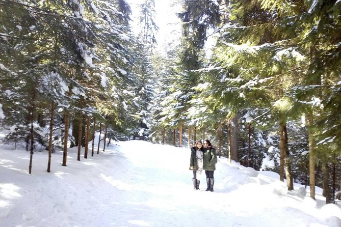 Private Winter Day Trip to the Rila Mountain - The 9:00 am Pickup and the Rhythm of a Winter Day