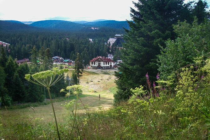 Rila Monastery & Thermae Full-Day Tour from Sofia - Price and value from Sofia: where the money goes
