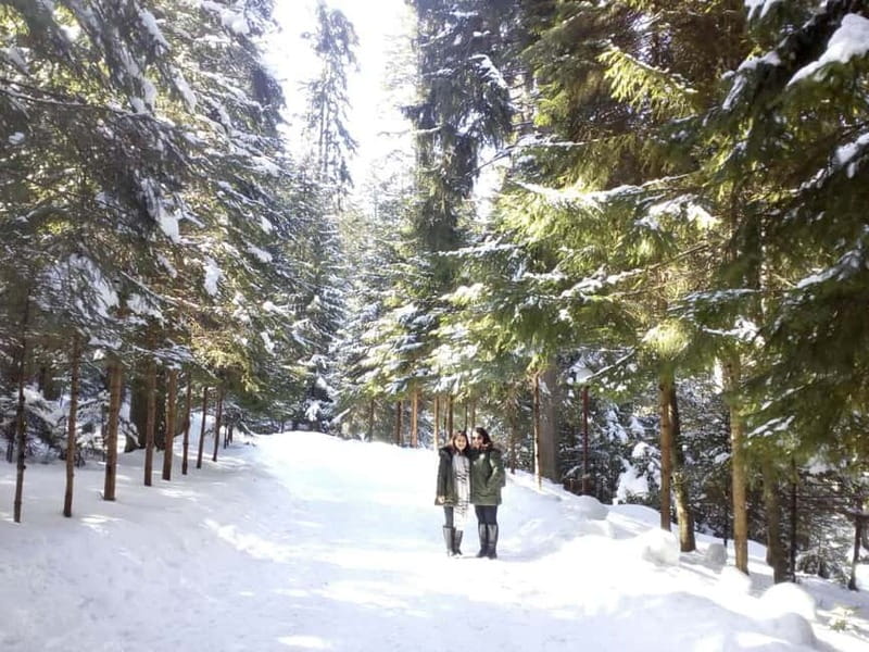 Rila Mountain Winter Day Trip - Borovets ski time: choosing 2 options without wasting energy