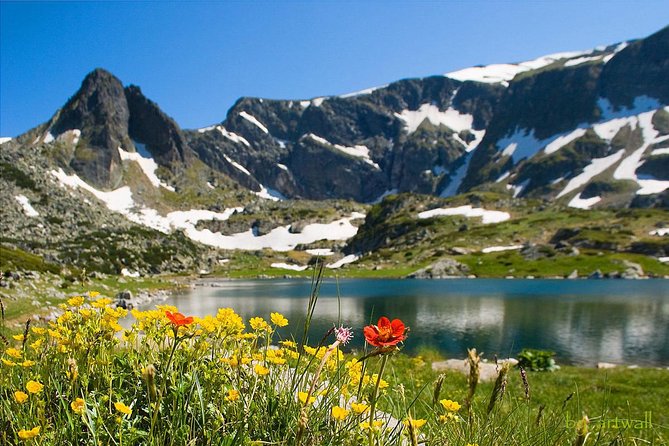 Seven Rila Lakes Guided Hike With chairlift ticket - Why The Guide Matters (Especially When You Get Meto)