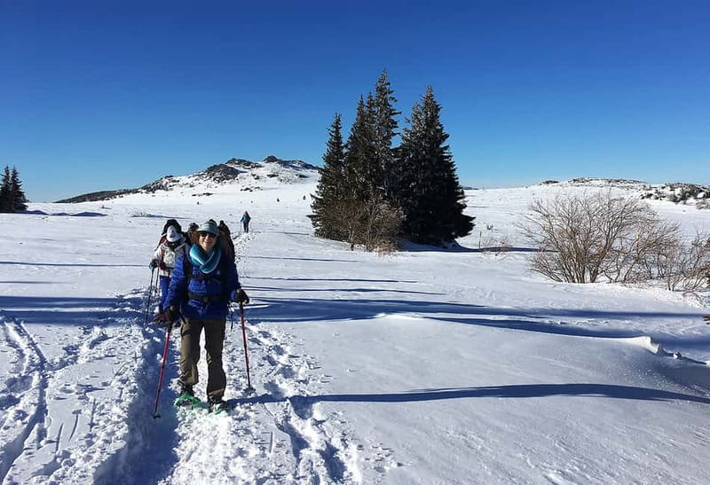 Sofia: Black Peak-Vitosha Mountain Snowshoeing Day Trip - Getting to Aleko: The Drive That Sets the Tone