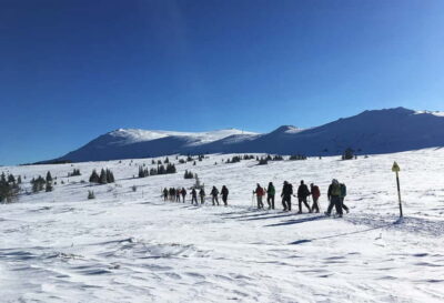 Black Peak-Vitosha Mountain Snowshoeing Day Trip