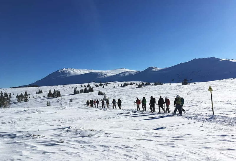 Sofia: Black Peak-Vitosha Mountain Snowshoeing Day Trip - Snowshoe Fitting and First Steps Above the Tree Line