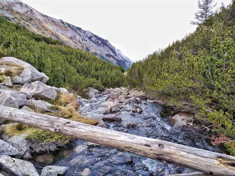 Sofia: Pirin National Park Hike & Bansko Visit - Starting the Hike at Vihren Hut and Chasing the Banderishki Lakes