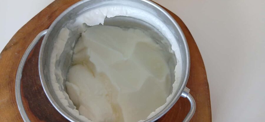 Sofia: Taste Bulgarian Yogurt Kiselo Mlyako in a Family Home - Key points worth your time