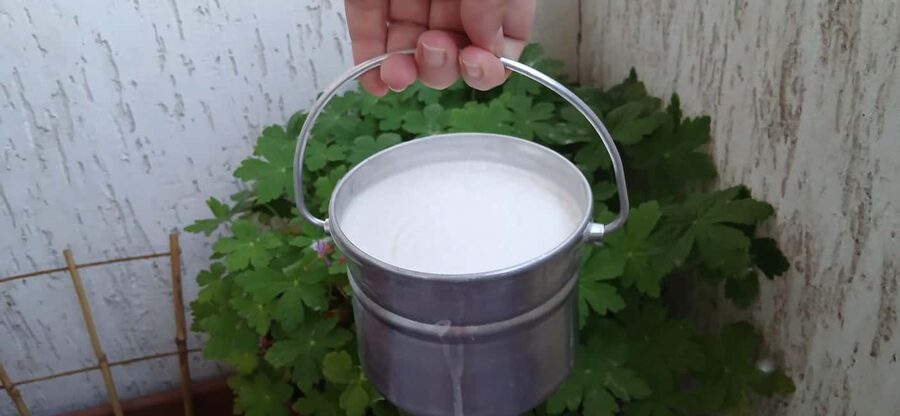 Sofia: Taste Bulgarian Yogurt Kiselo Mlyako in a Family Home - The 90-Minute Rhythm and What It Actually Includes