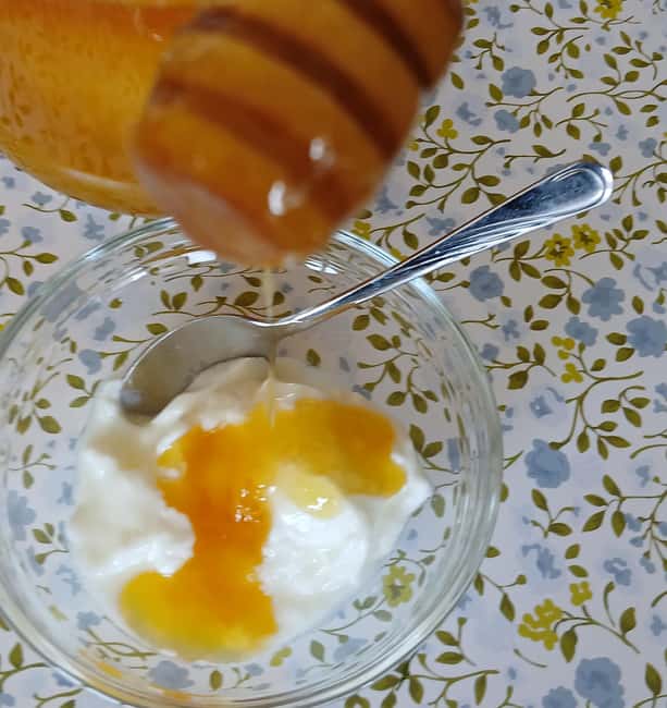 Sofia: Taste Bulgarian Yogurt Kiselo Mlyako in a Family Home - Logistics You Should Know Before You Go