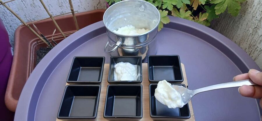 Sofia: Taste Bulgarian Yogurt Kiselo Mlyako in a Family Home - Meeting at James Bourchier and Getting to the Home Smoothly