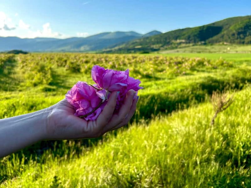 Sofia:The Highlights of Bulgaria - Rose Valley and Buzludzha - A one-day Bulgaria loop with roses, freedom, and Communism