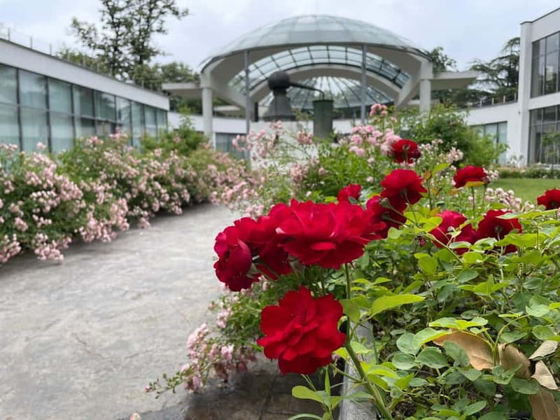 Sofia:The Highlights of Bulgaria - Rose Valley and Buzludzha - Timing, comfort, and what to bring (so the day feels easy)