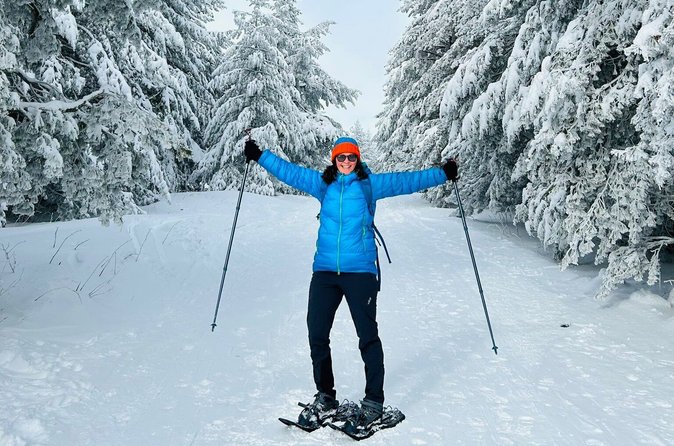 Sofia to Vitosha National Park Snowshoe Hike with Lunch time - Key Things You’ll Notice Right Away