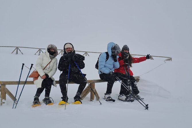 Sofia to Vitosha National Park Snowshoe Hike with Lunch time - Why Vitosha Snowshoeing Feels Like a Real Winter Getaway