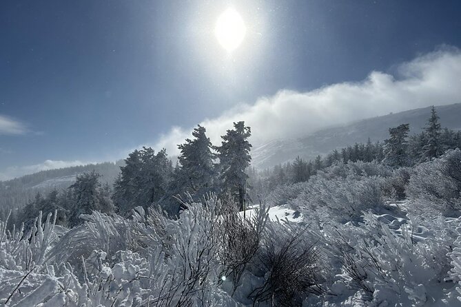 Sofia to Vitosha National Park Snowshoe Hike with Lunch time - Who This Tour Fits Best (And Who Might Want Something Else)