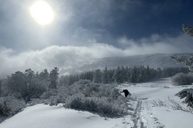 Sofia to Vitosha National Park Snowshoe Hike with Lunch time - 5 Hours Total, With a Small Group and a Simple Pickup