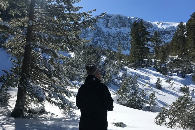 The Best of Bansko: Magical Snowshoeing Adventure & SPA - What’s Included, What’s Not, and How to Budget the Extras