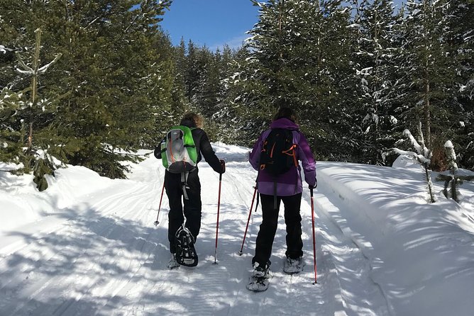 The Best of Bansko: Magical Snowshoeing Adventure & SPA - Dobrinishte Mineral Pools: The Best Part for Recovery