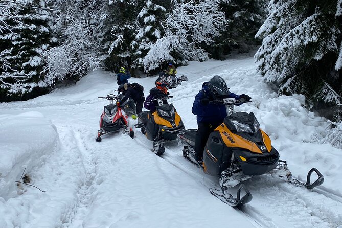 The Ultimate Snowmobile Adventure - 7 Rila Lakes & Panichishte - Safety, instruction, and why the controlled setup matters