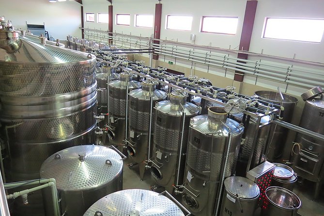 Thracian Valley wine tasting - private day tour from Plovdiv - Why Thracian Valley wine tasting makes sense from Plovdiv