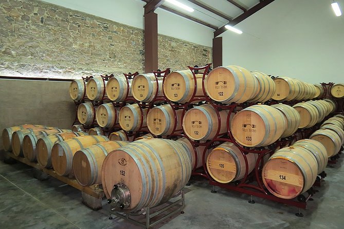 Thracian Valley wine tasting - private day tour from Plovdiv - Private tour feel, group size, and comfort level