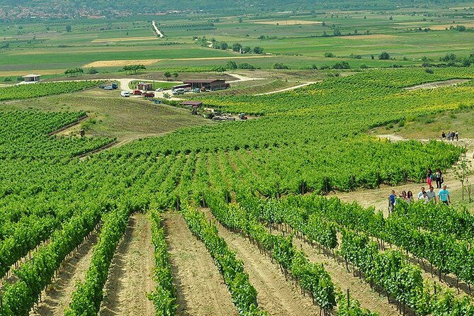 Thracian Valley wine tasting - private day tour from Plovdiv - Who this Thracian Valley wine tour suits best