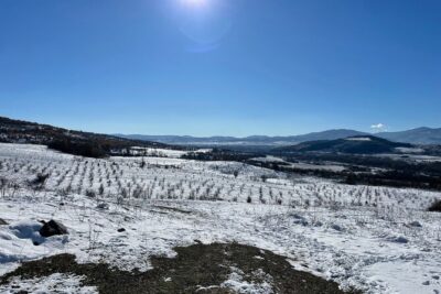 Truffle Hunting in Kyustendil
