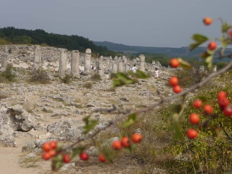 Varna: Guided VIP Tour - Stone Forest and Magic Spring Complex: nature with myth in the air