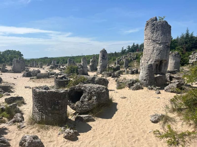 Varna: Stone Forest Tour at Sunset - Who should book this Varna Stone Forest sunset tour?