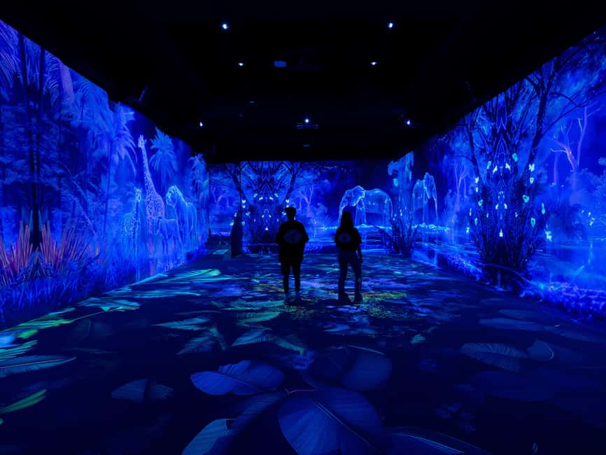 VIDENIE Immersive Art Space Entry Ticket - Key Things to Know Before You Go