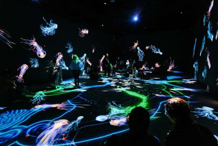 VIDENIE Immersive Art Space Entry Ticket - The First Rooms: A Quick Welcome and Then the Space Takes Over