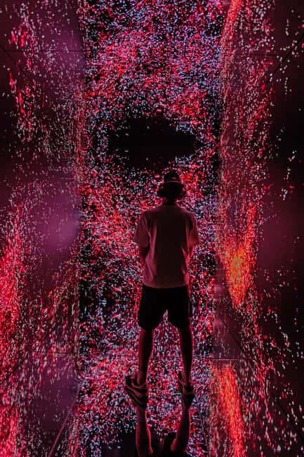 VIDENIE Immersive Art Space Entry Ticket - How the AI Shows Up in the Art (and Why That Matters)