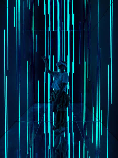 VIDENIE Immersive Art Space Entry Ticket - Finding VIDENIE at 9 Kuzman Shapkarev Str.